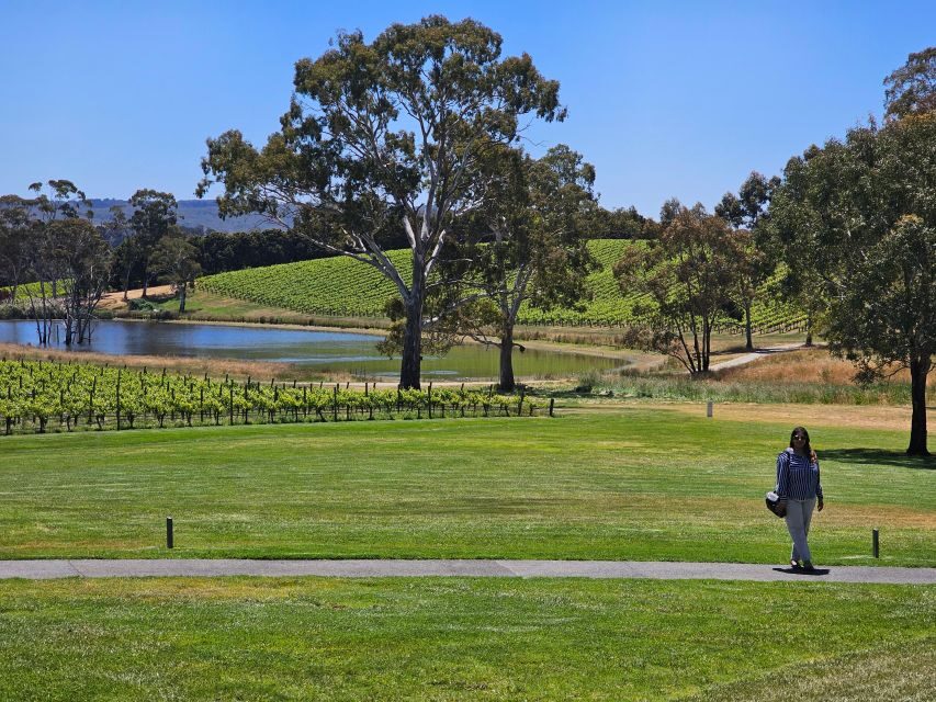 From Adelaide: Cuddle a Koala and Historic Hahndorf Tour - The Sum Up