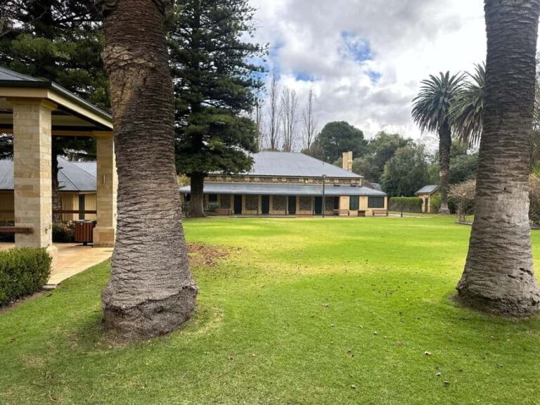 From Adelaide: Divine Wine Tour in the Adelaide Hills - The Practical Aspects