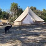 From Adelaide: Kangaroo Island Epic 2-Day Small Group Tour - Why This Tour Offers Great Value