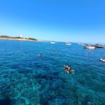 From Agropoli: Cilento Coast - Boat tour - Final Verdict