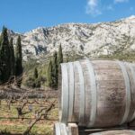 From Aix-en-Provence: 2-Hour Wine & Scenery Sidecar Tour - Exploring the Tour: A Step-by-Step Journey