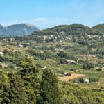 From Aix en Provence: Bandol & Cassis Full-day Wine Tour - Why This Tour Works