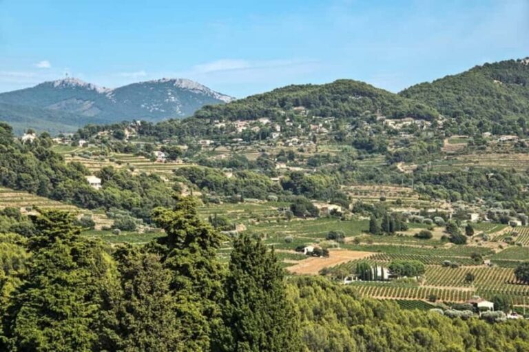 From Aix en Provence: Bandol & Cassis Full-day Wine Tour - Why This Tour Works