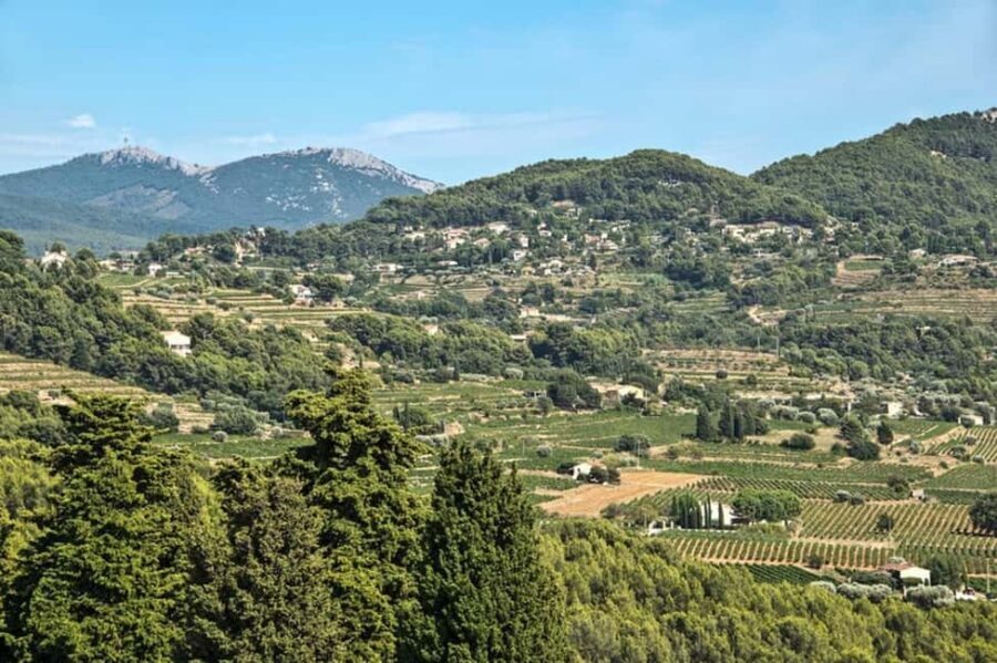 From Aix en Provence: Bandol & Cassis Full-day Wine Tour - Why This Tour Works