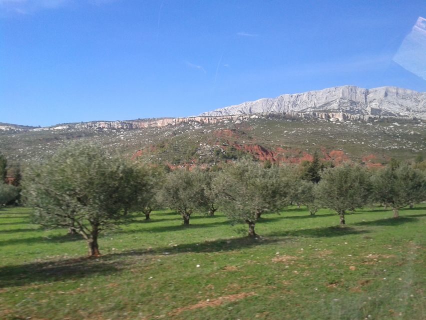 From Aix-en-Provence: Half-day Wine Tour Cezanne Countryside - Exploring the Details: What to Expect