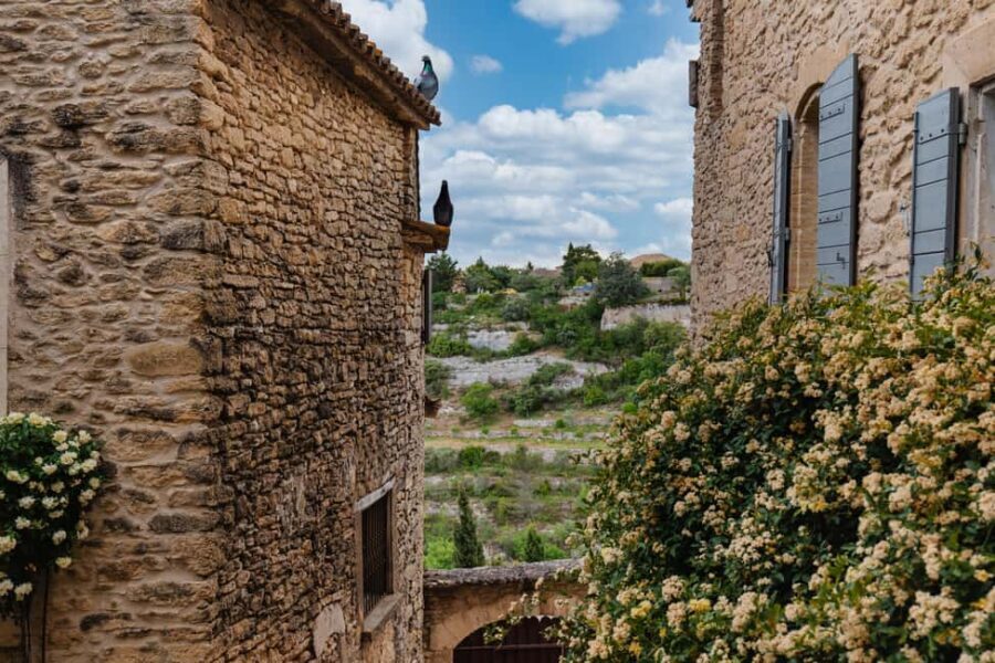 From Aix-en-Provence: Luberon Region E-Bike Full-Day tour - A Closer Look at the Itinerary and Experience