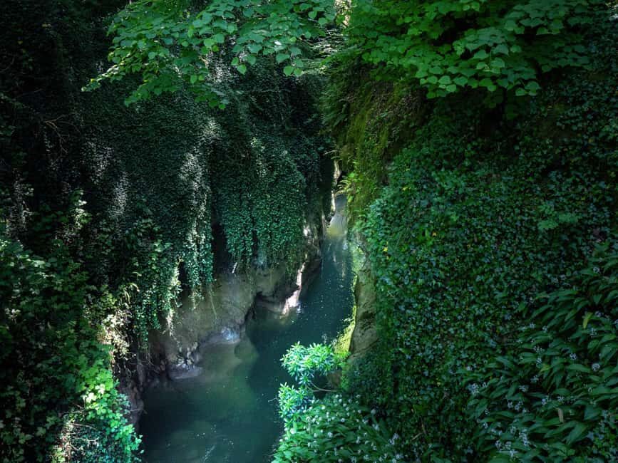 From Aix-les-Bains: Gorges du Sierroz and Mont Revard summit - Authentic Insights from Reviews