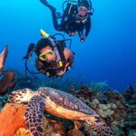 From Alanya: Scuba Diving Tour with Hotel Transfers - Who Should Consider This Tour?