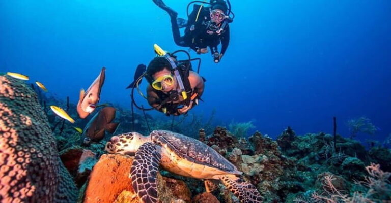 From Alanya: Scuba Diving Tour with Hotel Transfers - Who Should Consider This Tour?