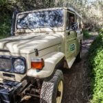 From Albufeira: Algarve Sunset Jeep Tour with Tastings - Who Will Love This Tour?
