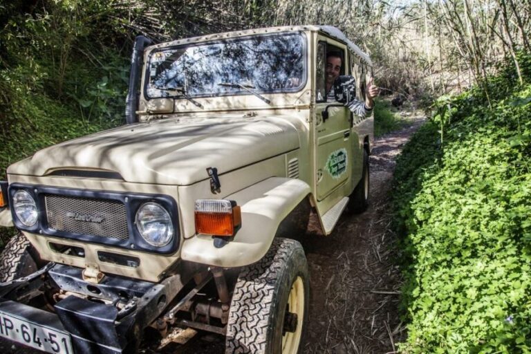 From Albufeira: Algarve Sunset Jeep Tour with Tastings - Who Will Love This Tour?