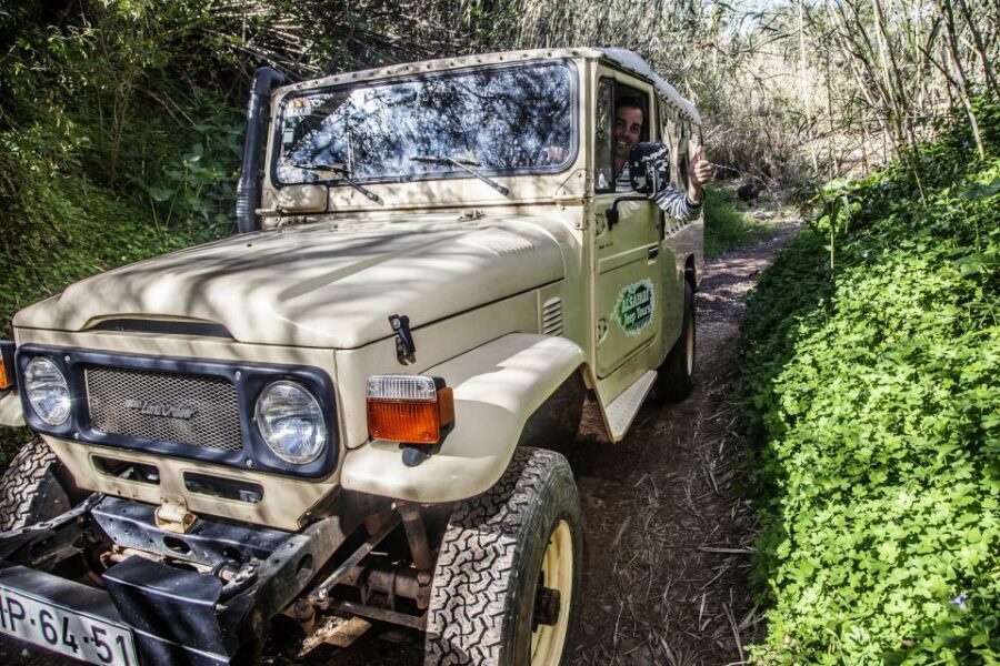 From Albufeira: Algarve Sunset Jeep Tour with Tastings - Who Will Love This Tour?