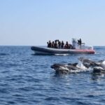 From Albufeira: Benagil Caves and Dolphins Guided Boat Tour - FAQs