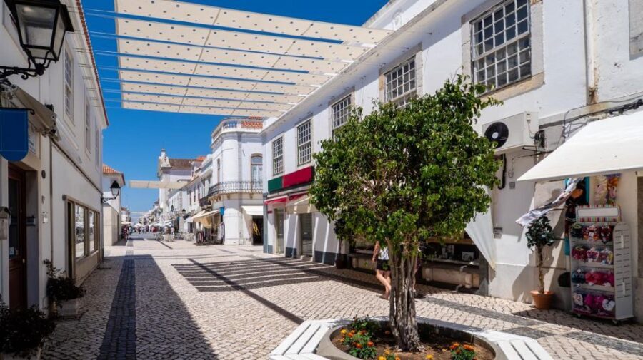 From Albufeira: Full-Day Tour of Algarve Eastern's Finest - A Deep Dive into the Algarve Eastern Experience