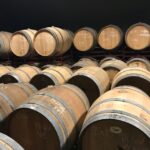 From Albufeira: Full-Day Wine Tasting Tour with a Guide - A Detailed Look at the Experience
