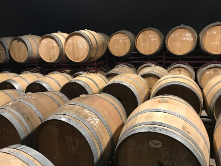 From Albufeira: Full-Day Wine Tasting Tour with a Guide - A Detailed Look at the Experience