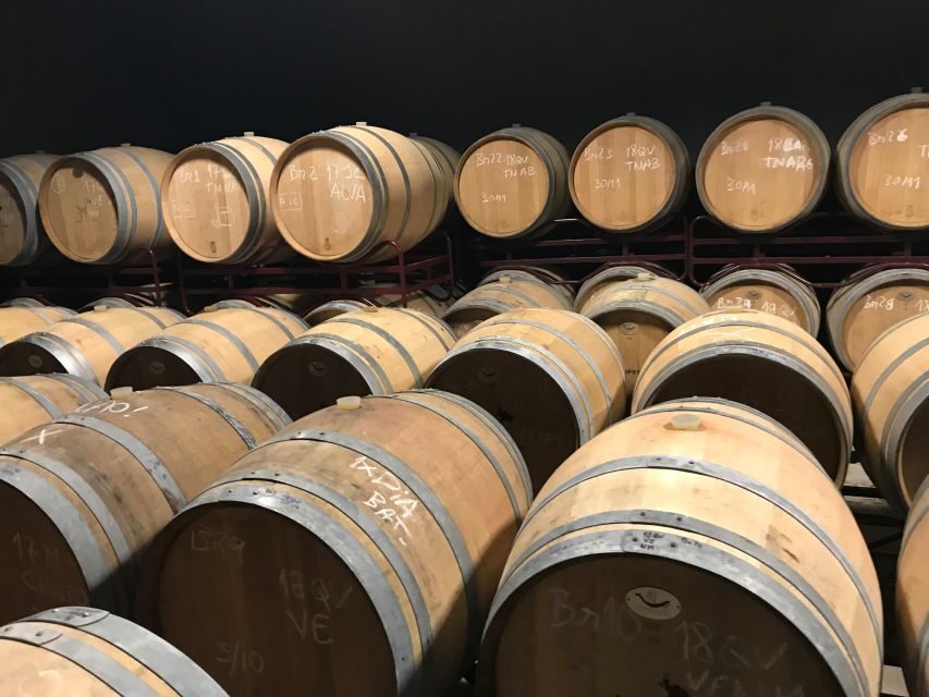 From Albufeira: Full-Day Wine Tasting Tour with a Guide - A Detailed Look at the Experience