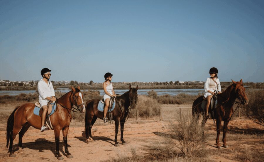 From Albufeira: Horse Riding Tour with Pickup - Detailed Itinerary Breakdown