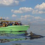 From Alcudia: Sunrise Dolphin Watching Boat Tour - Why This Tour Works Well for Travelers
