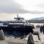 From Ålesund: Winter Fjord Cruise to Geirangerfjord - First Boat Cruise: Storfjorden and Sunnylvsfjorden