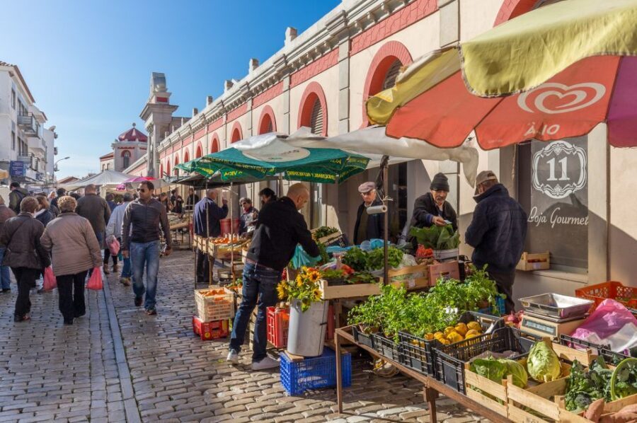 From Algarve Coast: Day Trip by Bus to Loule Market - Who should consider this tour?