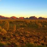From Alice Springs: 4-Day, 3-Night Outback Escape - The Sum Up