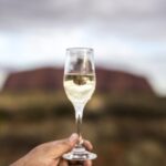 From Alice Springs: Day Trip to Uluru with BBQ Dinner - The Details: What You Can Expect