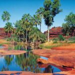 From Alice Springs: Palm Valley 4WD Outback Safari + Picnic - Walks and Exploration