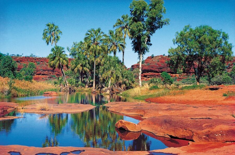 From Alice Springs: Palm Valley 4WD Outback Safari + Picnic - Walks and Exploration