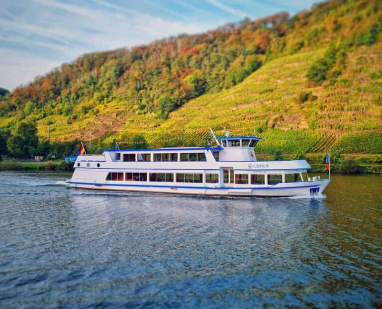 From Alken: Moselle Valley Sightseeing Cruise - Final Thoughts
