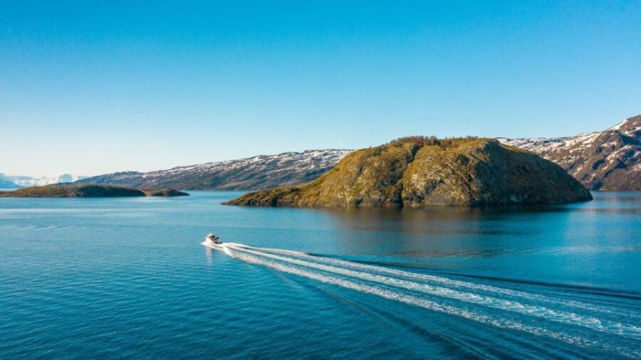 From Alta: Adventure Cruise in Alta Fjord - An In-Depth Look at the Alta Fjord Adventure Cruise