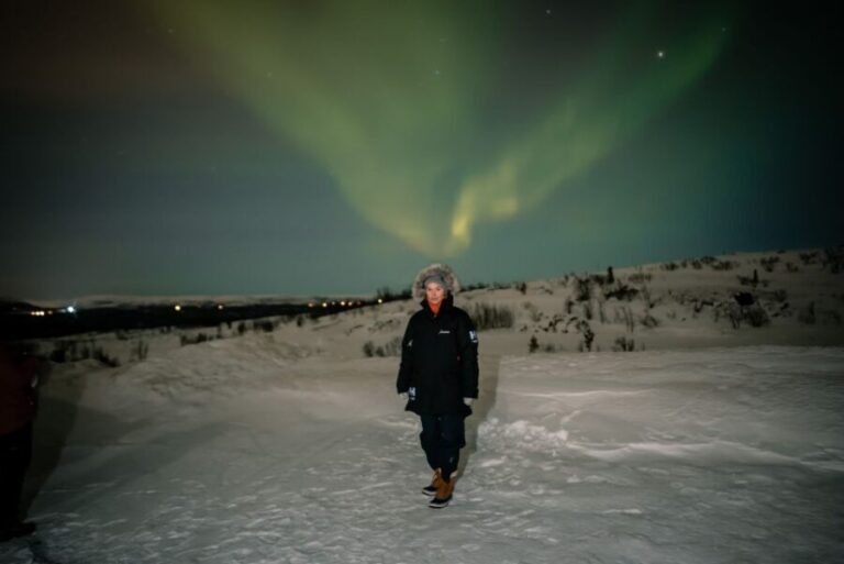 From Alta: Nighttime Northern Lights Spotting Tour - Analyzing the Value