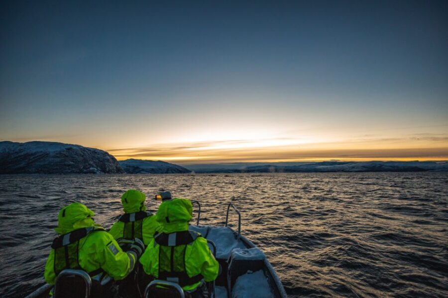 From Alta: Small Group Whale Watching by RIB - Summing Up: Who Should Consider This Tour?