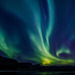 From Alta: Whale and Seabird Cruise - Authentic Traveler Insights