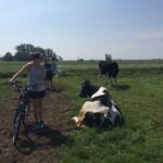 From Amsterdam: Countryside Bike Tour - What the Reviews Say — Authentic Experiences and Practical Details