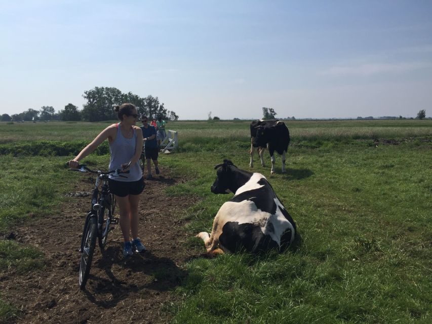 From Amsterdam: Countryside Bike Tour - What the Reviews Say — Authentic Experiences and Practical Details