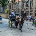 From Amsterdam: Private Sightseeing Tour to Bruges - Who is This Tour Best For?