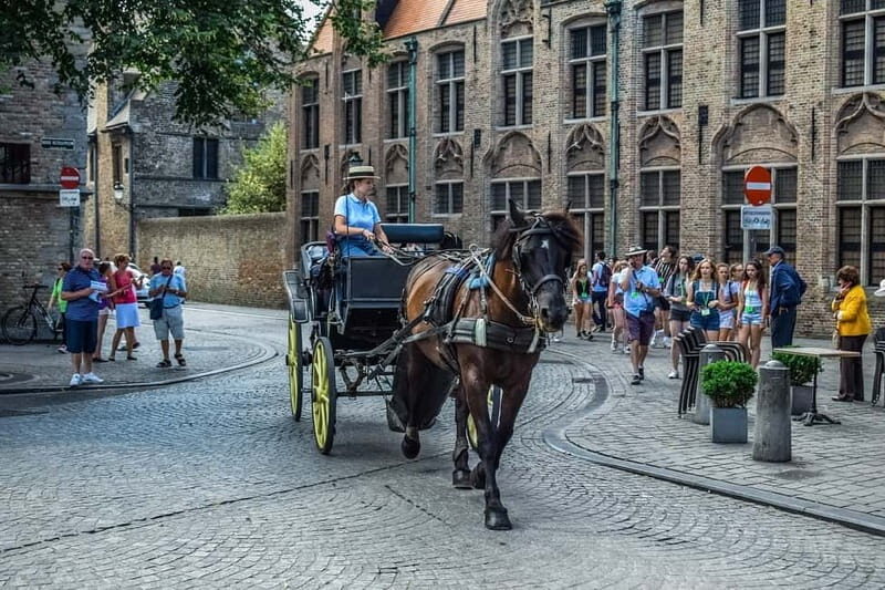 From Amsterdam: Private Sightseeing Tour to Bruges - Who is This Tour Best For?