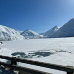 From Anchorage: Alaska Wildlife Center & Turnagain Arm Tour - The Value of This Tour