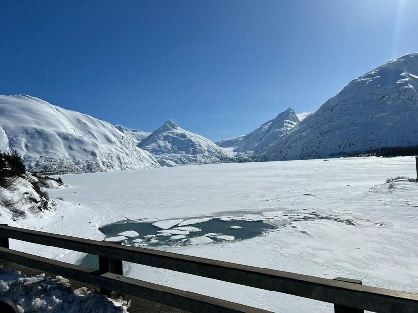 From Anchorage: Alaska Wildlife Center & Turnagain Arm Tour - The Value of This Tour