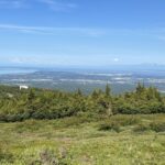 From Anchorage: Chugach State Park Walk with Naturalist - Final Thoughts