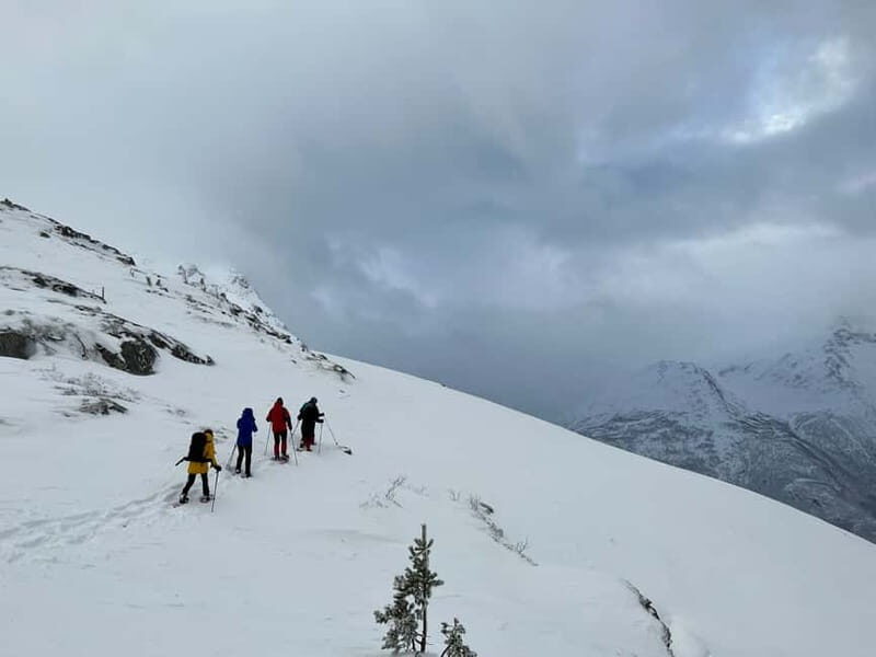 From Åndalsnes: Cable Car and Nesaksla Snowshoe Hike - Who Should Consider This Tour?