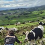 From Angra: Terceira Island Full-Day Jeep Tour (Shared Tour) - Why This Tour Delivers Value