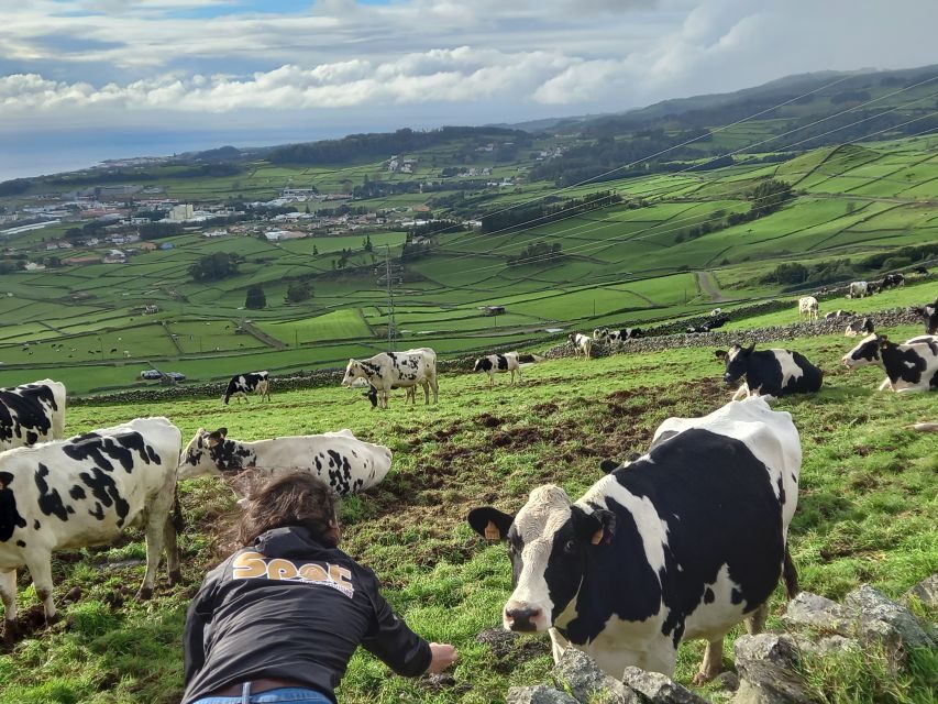 From Angra: Terceira Island Full-Day Jeep Tour (Shared Tour) - Why This Tour Delivers Value
