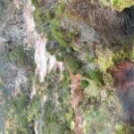 From Angra: Terceira Island Half-Day Geotour (Shared Tour) - Exploring the Volcanic Wonders of Terceira