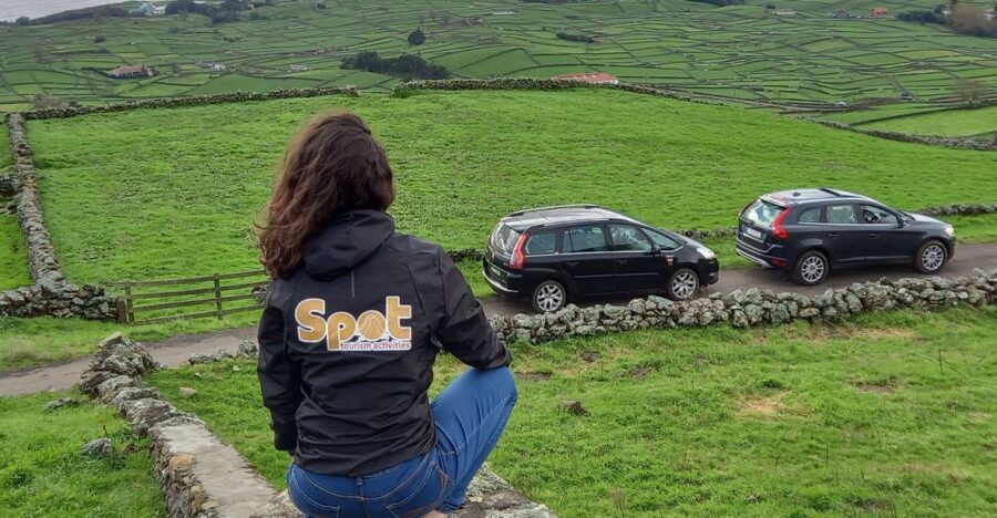 From Angra: Terceira Island Half-Day Tour (Shared Tour) - Why This Tour Works Well