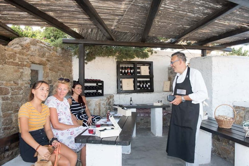 From Ano Mera: Day Tour & Wine Tasting with dinner At A Farm - Exploring the Day Tour & Wine Tasting Experience