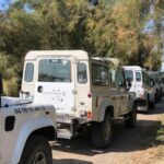 From Arles: Half-Day 4x4 Camargue Safari - Exploring the Itinerary: What You’ll See and Experience