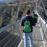 From Arouca: 516 Arouca Bridge & Paiva Walkway Tour - An In-Depth Look at the Tour Experience