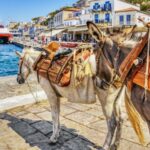 From Athens: Hydra, Poros, and Aegina Day Cruise with Lunch - Detailed Breakdown of the Itinerary
